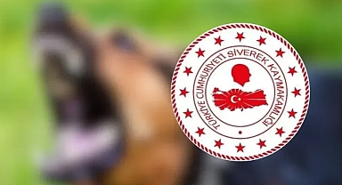 Urfa'daki kuduz vakası ile ilgili yeni gelişme!
