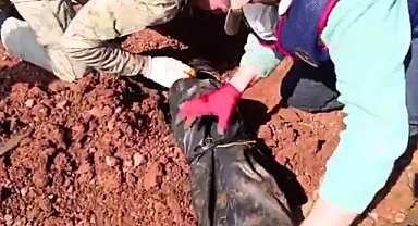 Adeta cephane! Urfa'da dev operasyon!