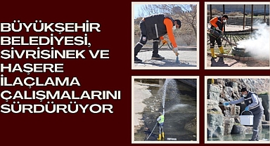 Büyükşehir Belediyesi, Sivrisinek Ve Haşere İlaçlama Çalışmalarını Sürdürüyor