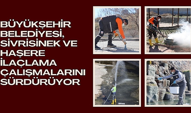 Büyükşehir Belediyesi, Sivrisinek Ve Haşere İlaçlama Çalışmalarını Sürdürüyor