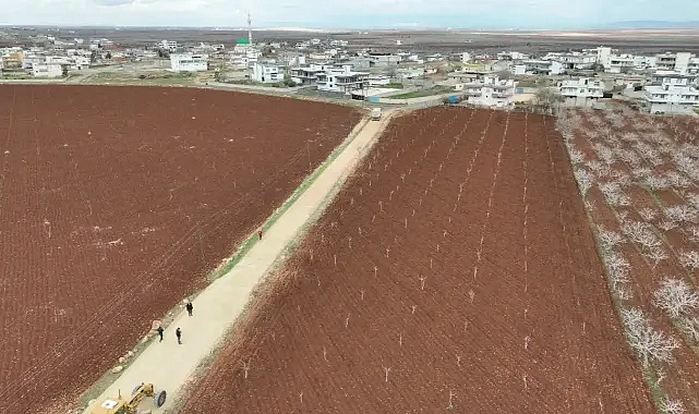 Büyükşehir Bozova'da yol çalışmalarına devam ediyor!