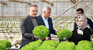 Harran Üniversitesinde Hasat Sevinci; Ar-Ge Serası Yeniden Hayata Geçirildi