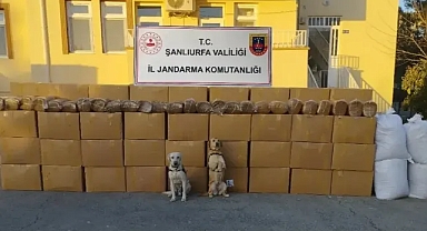 Urfa'da kaçağa darbe vuruldu!