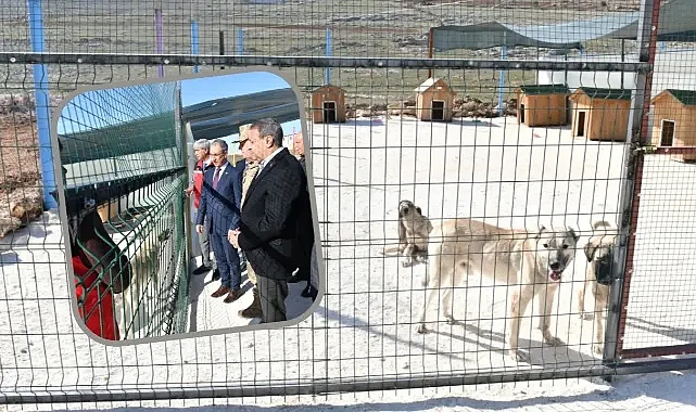 Vali Şıldak ziyaret etti! Şanlıurfa'da ilk uygulama başlatıldı!
