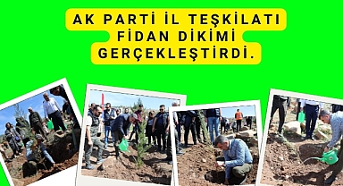 AK Parti İl Teşkilatı Fidan Dikimi Gerçekleştirdi