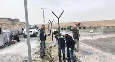 Ceylanpınar Belediyesi Sokak Hayvanlarına yönelik geçici barınak
