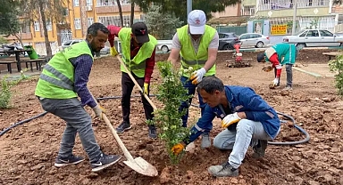 Haliliye Belediyesi Mevsimsel Çalışmalarla Yeşile Hayat Veriyor
