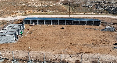 Harran Belediyesi Sokak Hayvanlarını Unutmadı, Çalışmalarda Sona Gelindi