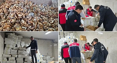 Şanlıurfa’da Tonlarca Bozuk Ceviz Ele Geçirildi