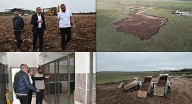 Siverek Belediyesi Sokak Hayvanları İçin Doğal Yaşam Alanı Oluşturuyor