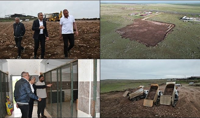 Siverek Belediyesi Sokak Hayvanları İçin Doğal Yaşam Alanı Oluşturuyor