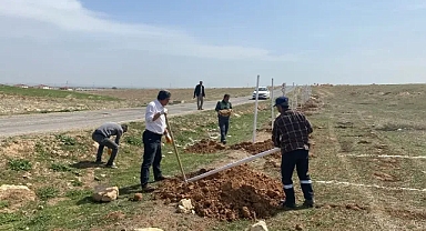 Suruç Belediyesi’nden Sokak Hayvanları İçin Örnek Proje