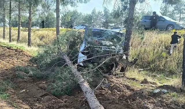 Urfa’da kaza: Ağaçlara çarparak durabildi!