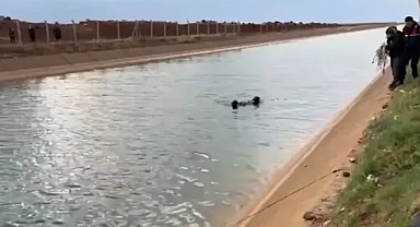 Urfa'daki çobanın acı ölümü!