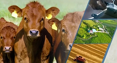 3 milyar 305 milyon ödeme yapıldı!
