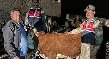 Çözüldü! Şanlıurfa'da jandarma ekiplerini harekete geçiren olay!