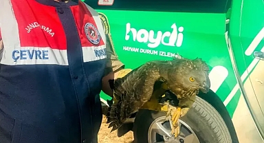 HAYDİ tarafından bulundu! Şanlıurfa’da tedavi altına alındı!