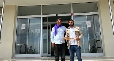 Şanlıurfa’da Çöl Varanı Bulundu: Doğaya Geri Dönecek