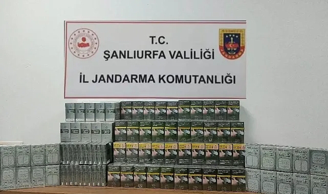 Şanlıurfa’da eğitimli köpekler tespit etti! El konuldu!