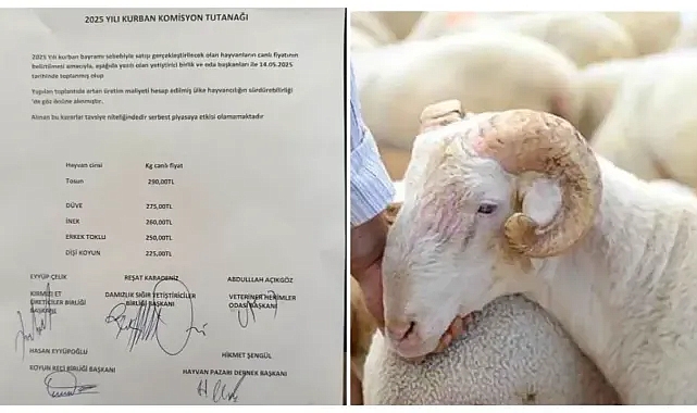Şanlıurfa'da Kurbanlık Hayvanların Canlı Kilo Fiyatları Belirlendi