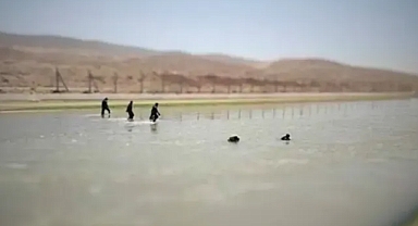 Şanlıurfa’da Sulama Kanalında Aranan Çocuk 4 Gün Sonra Hayatını Kaybetmiş Halde Bulundu