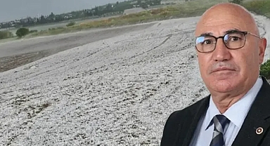 Şanlıurfa’yı dolu vurdu! Tanal çiftçi için nakdi destek istedi!