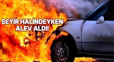 Urfa'da alevlere teslim oldu!