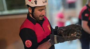 Urfa'da ekipler harekete geçti!