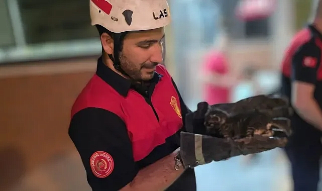 Urfa'da ekipler harekete geçti!
