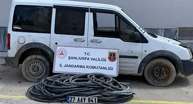 Urfa'daki hırsızlık olayı çözüldü!
