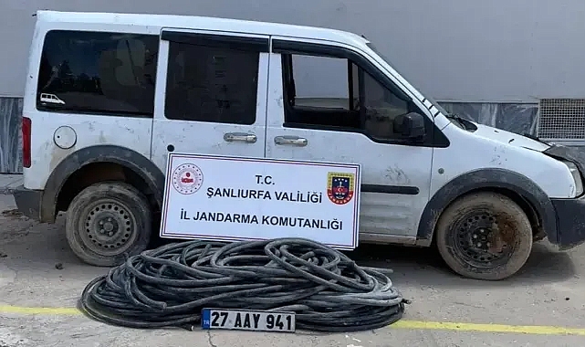 Urfa'daki hırsızlık olayı çözüldü!