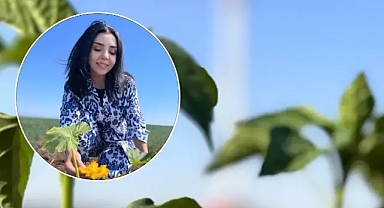 Urfalı kadın çiftçi Göktepeli tehdit edildiğini öne sürdü! Vali Şıldak duyarsız kalmadı!