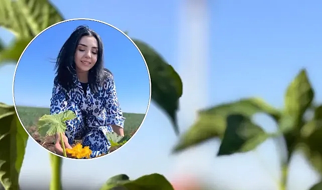 Urfalı kadın çiftçi Göktepeli tehdit edildiğini öne sürdü! Vali Şıldak duyarsız kalmadı!
