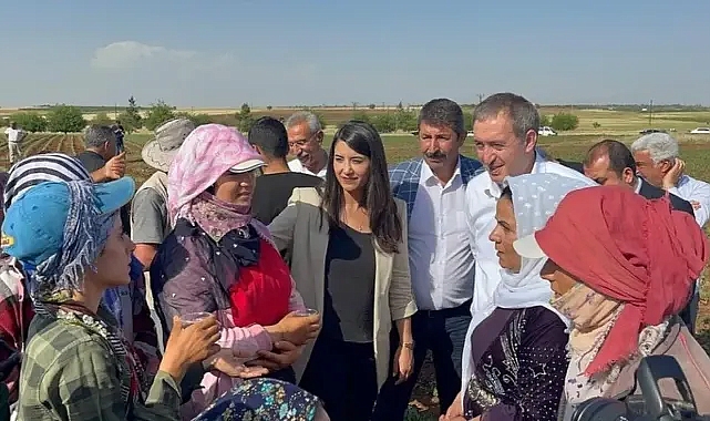 Vekil Ayan : “Urfa Çiftçisi Üretiyor Ama Kazanamıyor”