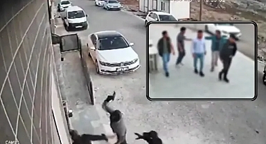 Yakalandılar! Urfa'da nefes kesen operasyonlar!