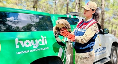 Yaralı Kartal HAYDİ Ekiplerince Kurtarıldı