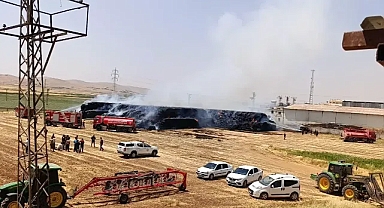 Akçakale’de Saman Balyaları Alev Aldı: Tonlarca Saman Küle Döndü