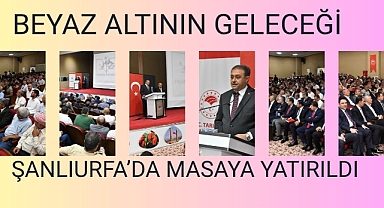 Beyaz Altının Geleceği Şanlıurfa’da Masaya Yatırıldı
