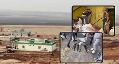 Film sahnesi gibi! Urfa'da MİT operasyonu!