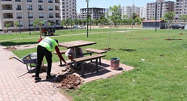 Haliliye’de Parklar İçin Tasarruflu Üretim Modeli