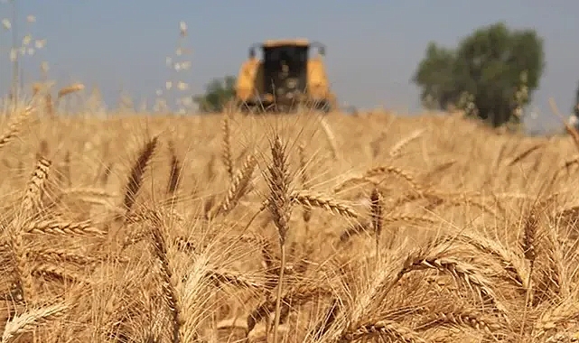 Hilvan Ziraat Odası Başkanı İpar: Çiftçi kara kara düşünüyor!