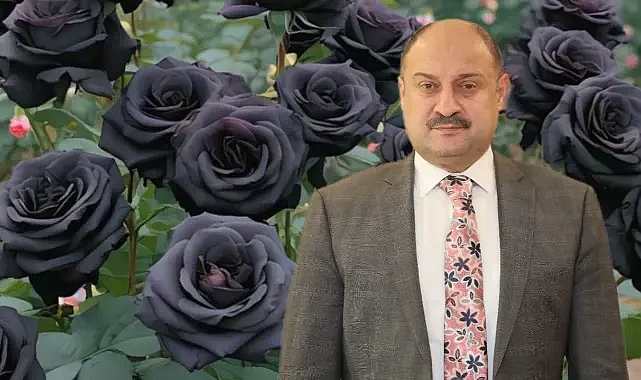 Karagül'ü Paris'te Dünyaya Tanıtacak