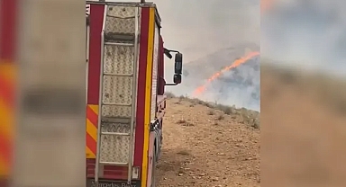 Ormanlık alanda yangın!