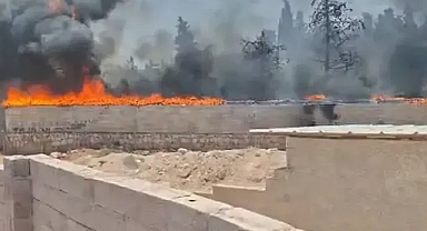 Şanlıurfa’da ahırda yangın! Çok sayıda hayvan telef oldu!