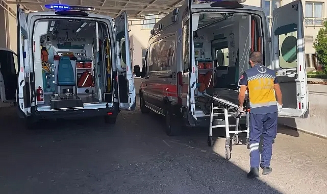 Şanlıurfa'da bu kez çobanlar kavga etti! 6 yaralı