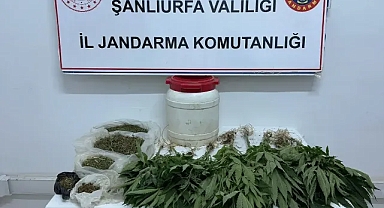 Şanlıurfa’da uyuşturucu operasyonu! Kenevir ve esrar ele geçirildi!