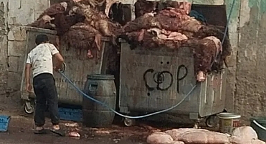 Şanlıurfa'daki çöplerde şaşırtan görüntü! Hem ekonomiye hem de çevreye zarar