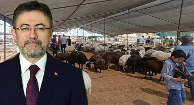 Satılamayan kurbanlıkları ESK alacak! İşte belirlenen fiyatlar