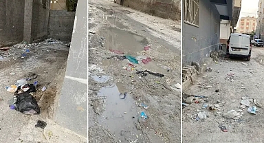 Suruç’taki sokak tepki çekti! Her taraf çöp içinde!