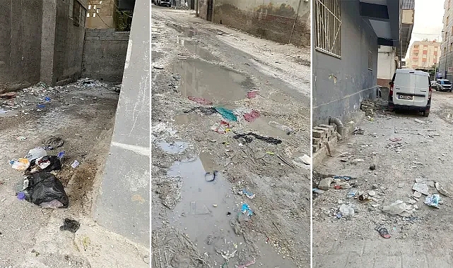 Suruç’taki sokak tepki çekti! Her taraf çöp içinde!